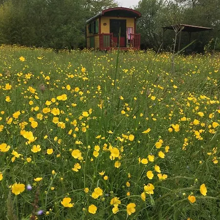 La Dorepontaise Roulotte * Pondaurat