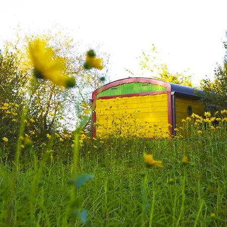 Camping La Dorépontaise Roulotte *
