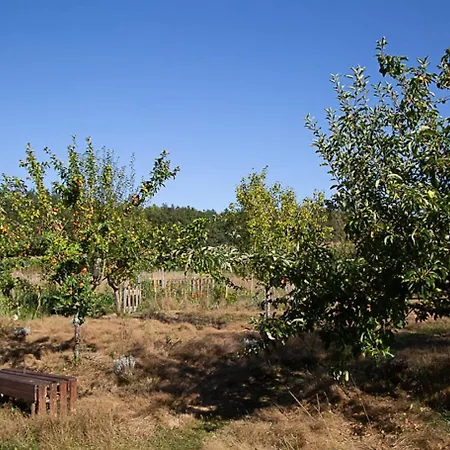 Camping La Dorépontaise Roulotte Pondaurat