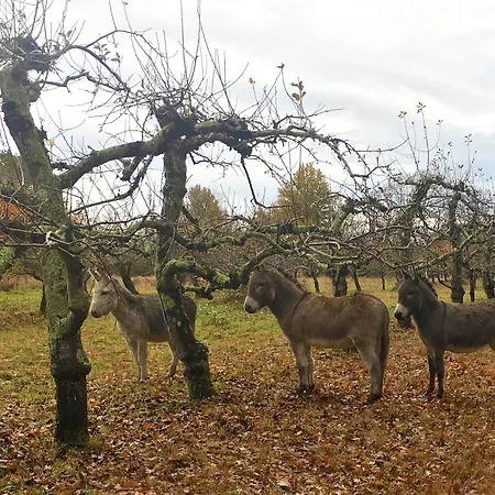 La Dorépontaise Roulotte *