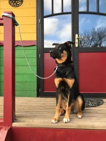 La Dorepontaise Roulotte *