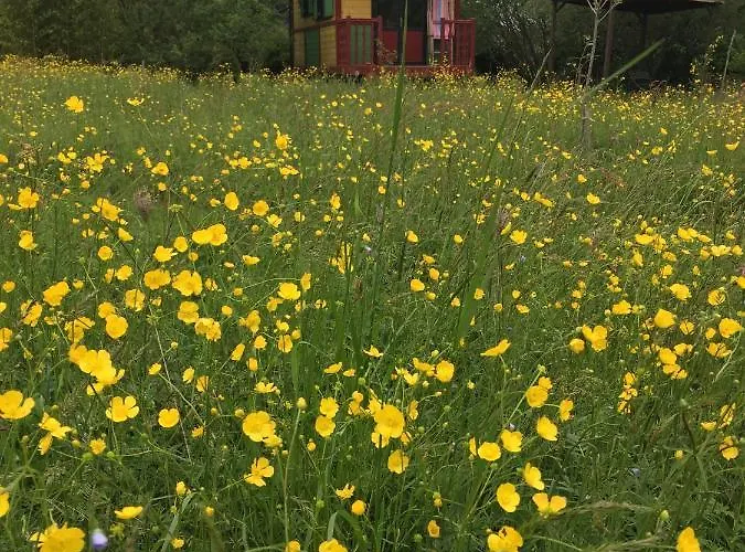 La Dorepontaise Roulotte * Pondaurat