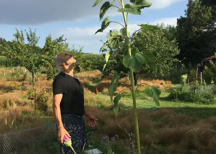 La Dorepontaise Roulotte 캠프장 *