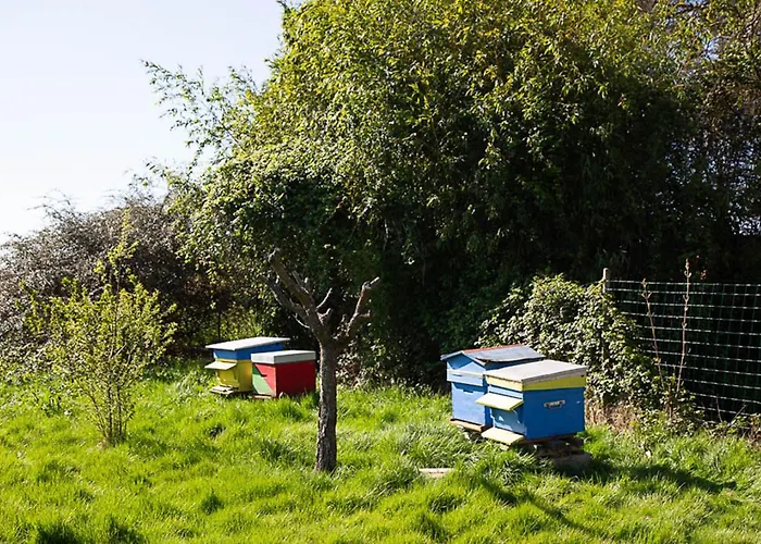 La Dorepontaise Roulotte