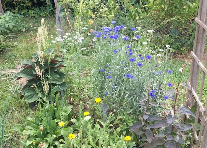 La Dorepontaise Roulotte 캠프장 *