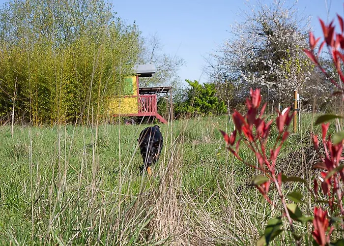 캠프장 La Dorepontaise Roulotte Pondaurat