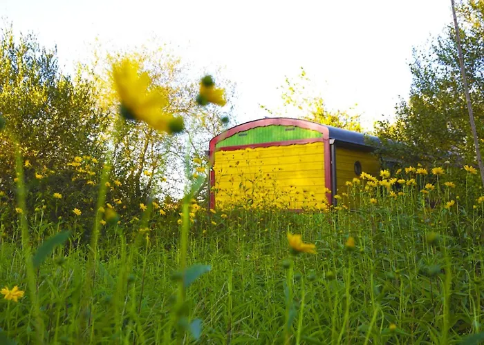 캠프장 La Dorepontaise Roulotte *