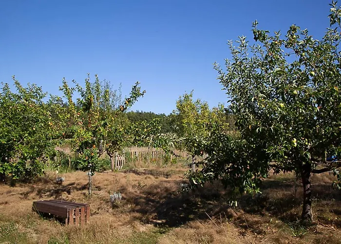 캠프장 La Dorepontaise Roulotte Pondaurat